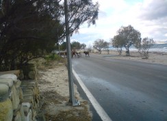 winter traffic